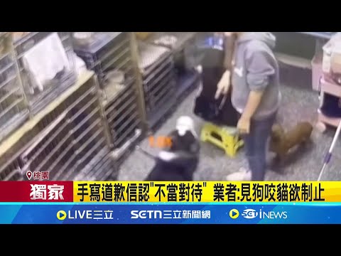 哈士奇討摸遭"連踹2腳" 飼主控虐待動物 愛犬寄宿後精神不振 調監視器揭"業者踹狗" 認踹狗負擔萬元檢查費 業者:哈士奇未受傷│萌寵54來當家20250222│三立新聞台