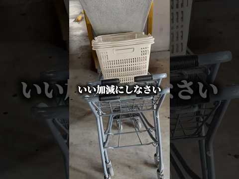 迷惑客が駐車場に放置した買い物カートを片付けてみた！