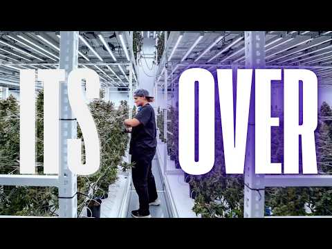 It’s Over… Hemp Is Getting Shut Down!!