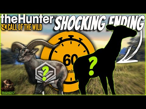 HIGH STAKES 60 Minute Challenge! You Wont Believe The Ending... Call of the wild