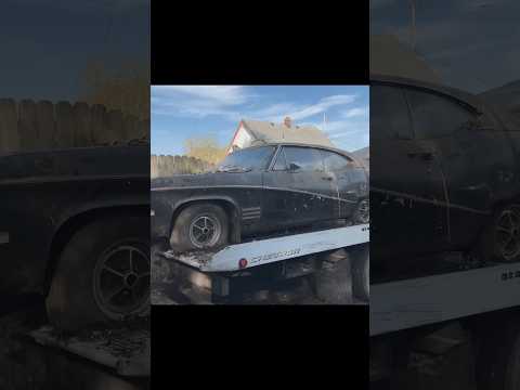 ABANDONED Barn Find Buick Skylark Disaster Detail! | #shorts #buick #skylark #supercars #restoration