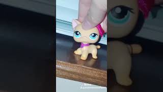 I love this vid ❤❤❤
