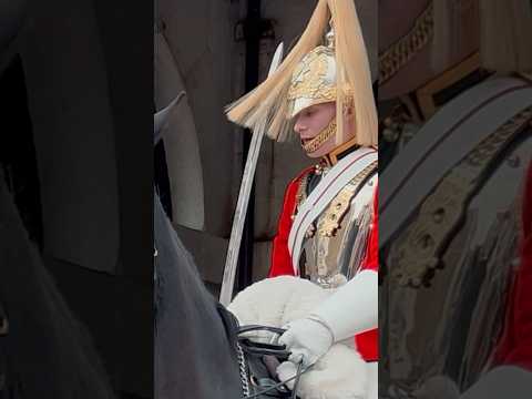 OUTSIDE THE BOX PLEASE! 🐎💂🗡️| Horse Guards, Royal guard, Kings Guard, Horse, London, 2025