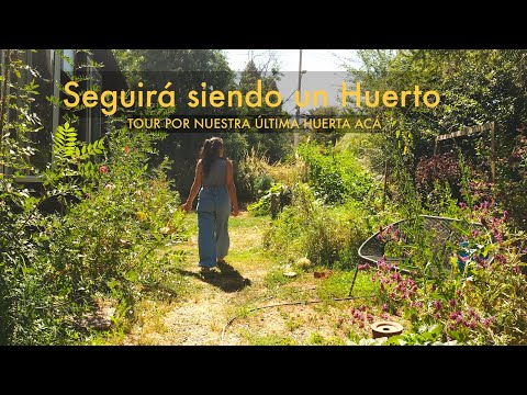 Tour por nuestra Última Huerta en esta casa | Todo está pasando muy rápido!