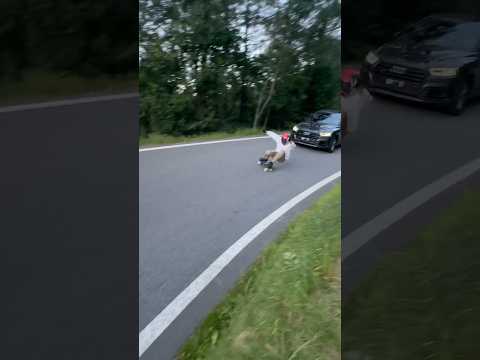 Extreme downhill skate filming !! #speed #downhilllongboard #skate #fast