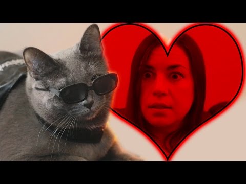 Valentine's Day With The Purrminator