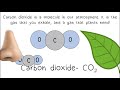 Exploring Atoms, Elements, and Molecules