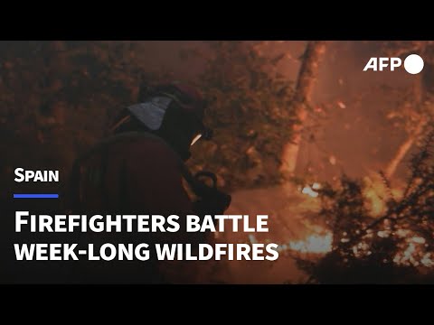 Spanish firefighters battle Galicia fire | AFP