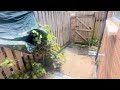 3 bedroom student house in Dunkirk, Nottingham