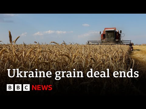Russia ends Ukraine grain deal after Crimea bridge attack - BBC News