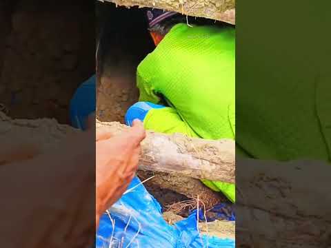 আল্লাহতালার কুদরত টা দেখে যান।