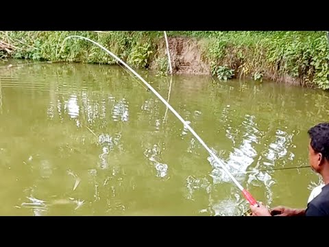 Ticket fishing 🎣 Lalon fishing zone in Charghat Rajshahi