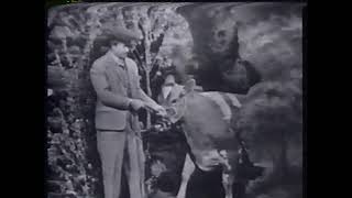 hollywoodblooper.mp4