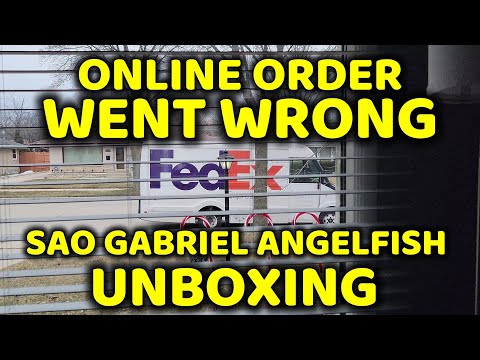 WILD ANGELFISH LOCATION TALK + UNBOXING THE SAO GA WARNING THIS IS A RANT VIDEO!
