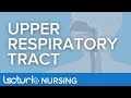 Functions of the Respiratory System