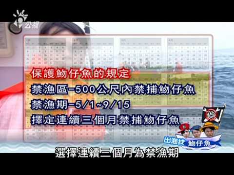 流言追追追-魩仔魚A - YouTube(19分54秒)