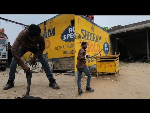 Dangerous Snake Rescue - Mangrol | Tiger BhaiJaan Itawa |