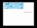 Cloud Formation and Precipitation Concepts