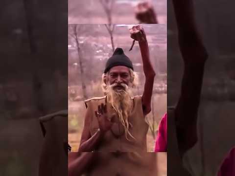 Cosa succede se tieni il braccio alzato per 49 anni?