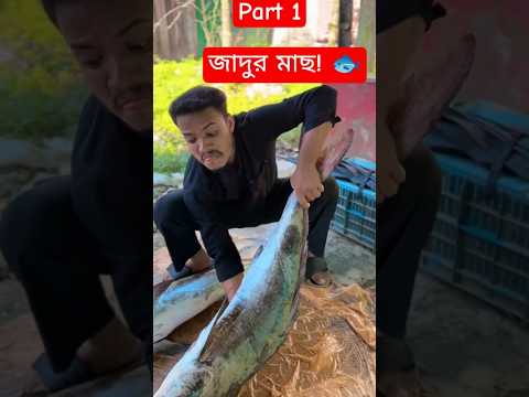 জাদুর মাছ! 🐟😱 | Bangla Funny Short Video #youtubeshorts #funny #shortvideos #banglashorts #unfrez