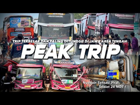 [ PESTA BESAR MANIA PALING DITUNGGU ! ] SEMUA BUS ARTIS HADIR DISINI ! Peak Trip 2025 Yogya