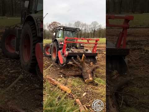 Forestry Mulcher MAXIFORST in Action || For Large Stumps & Wood || #mulcher #shorts
