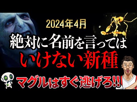 名前を言ってはいけない新種の古代アリが発見された模様 【おまけ動画付き】