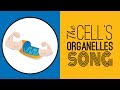 Memorizing Cell Organelles and Their Functions