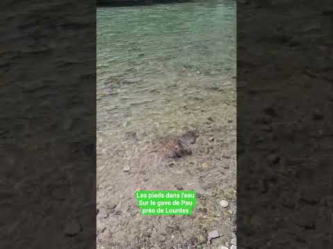 les pieds dans l'eau dans le gave de Pau près de Lourdes#gavedepau #lourdes #euc