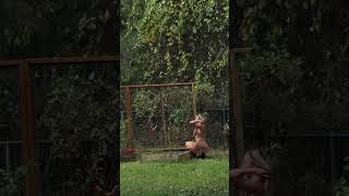 fresh pickens also hi i’m back