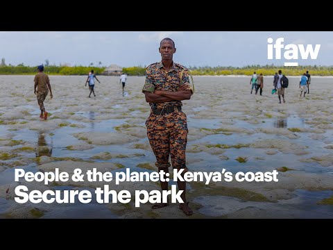 What happens when illegal fishing gear is used on Kenya's coast?