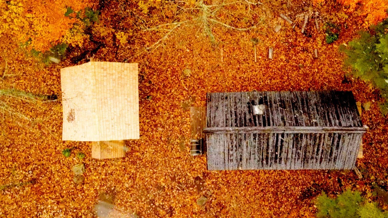 Log Cabin Sauna Build Ep 2 It's a Dog's Life