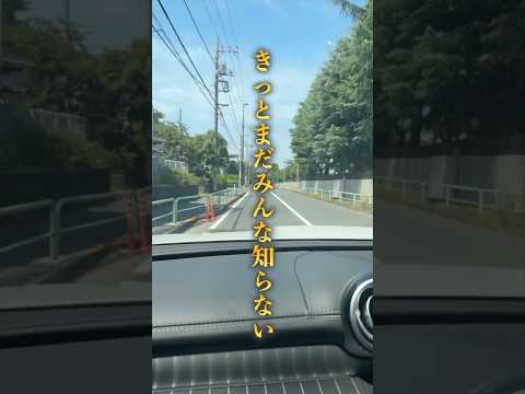 動きがもっさりしたAI BOXを使っている人は全員こっちに変えた方がいい。高スペックスマホをミラーリングで使うから実は過去１の操作性が実現するMILEL MM1 ミレル カーナビからの操作も可能