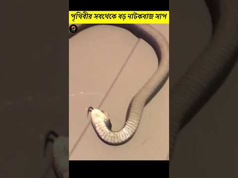 পৃথিবীর সবথেকে বড় নাটকবাজ সাপ | Jombie Snake Bangla | Factz Riyad #shorts #facts #snake