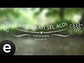 Understanding the Video Tutorial