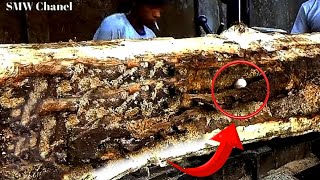 5 Tense Seconds of Cuckoo's Nest Destroyed at Sawmill