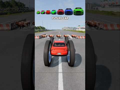 Cars vs Cow walls