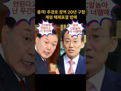 <strong>추경호</strong> 징역20년 구형