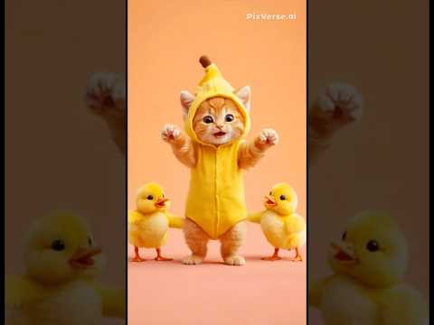 Kitty and ducklings dance motorcycle 🏍️ #cat #shorts #viral #memes #funny