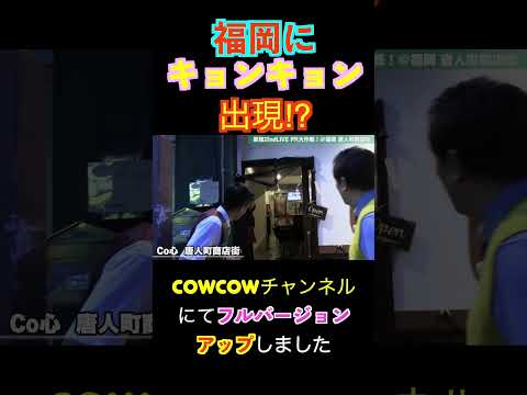福岡唐人町にいた！　#shorts #cowcow #fukuoka #唐人町　＃キョンキョン