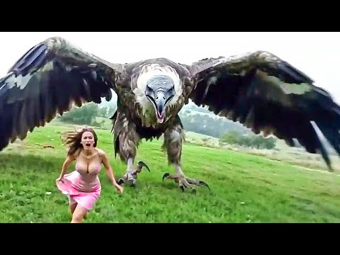 20 Most Dangerous Birds You Should Run Away From