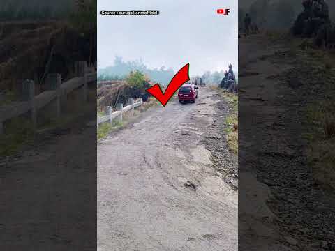 MOTUBA NANJAK EMANG BISA ? #shorts #reaction #fypã‚·