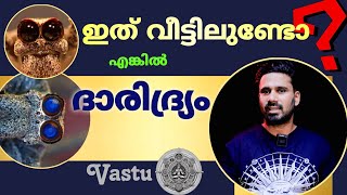 ദാരിദ്ര്യം ഇത് വീട്ടിൽ ഉണ്ടെങ്കിൽ  | iIf These Things Are in Your Home, Poverty Will Follow.