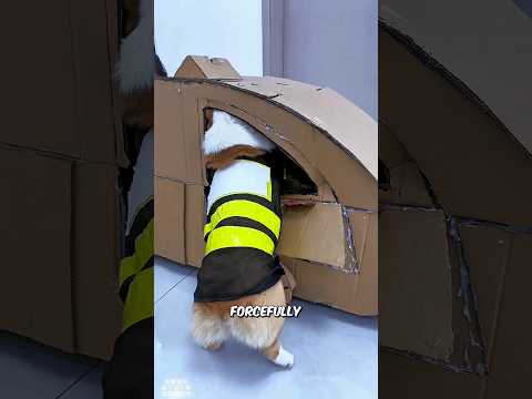 My Number? Keep Dreaming, Dude ๐๐ซ