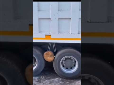 افكار ازهلت المشاهد#فكرتي #أفكار_حيل #أفكار_من_ذهب