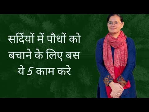 Winter care of houseplants | कड़ाके की सर्दी से पौधों को कैसे बचाएं