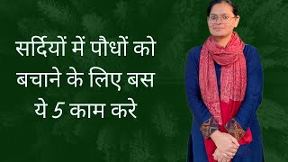 Winter care of houseplants | कड़ाके की सर्दी से पौधों को कैसे बचाएं