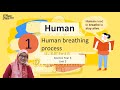 Breathing Rate and Lung Function
