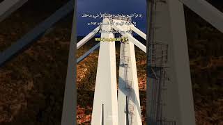 رحم الله الشيخ احمد اسكينيد