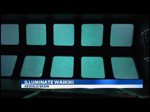 Waikiki's glass-<strong>bottom</strong> boat lights up the reef after dark